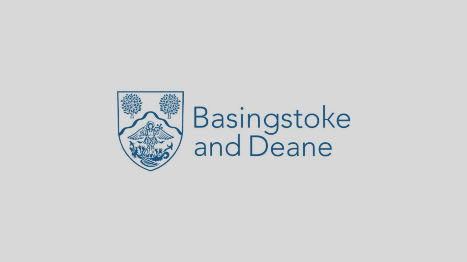 Basingstoke and Deane Case Study 